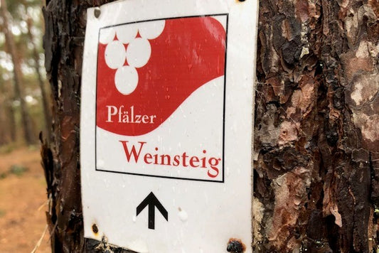 Rendezvous von Wald und Wein